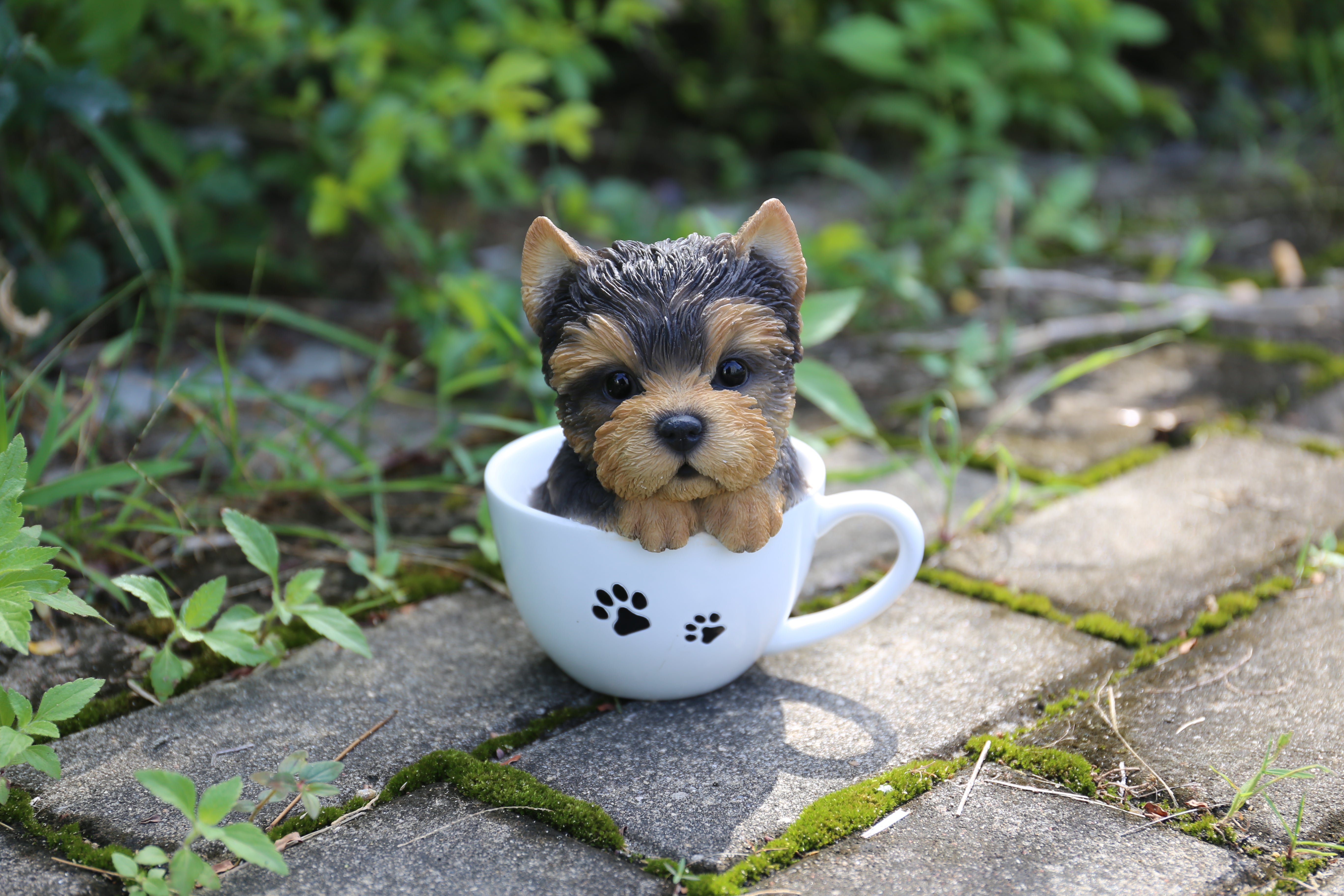 Pet Pals-Teacup Yorkshire Terrier Puppy Statue - Home Decor - Hi