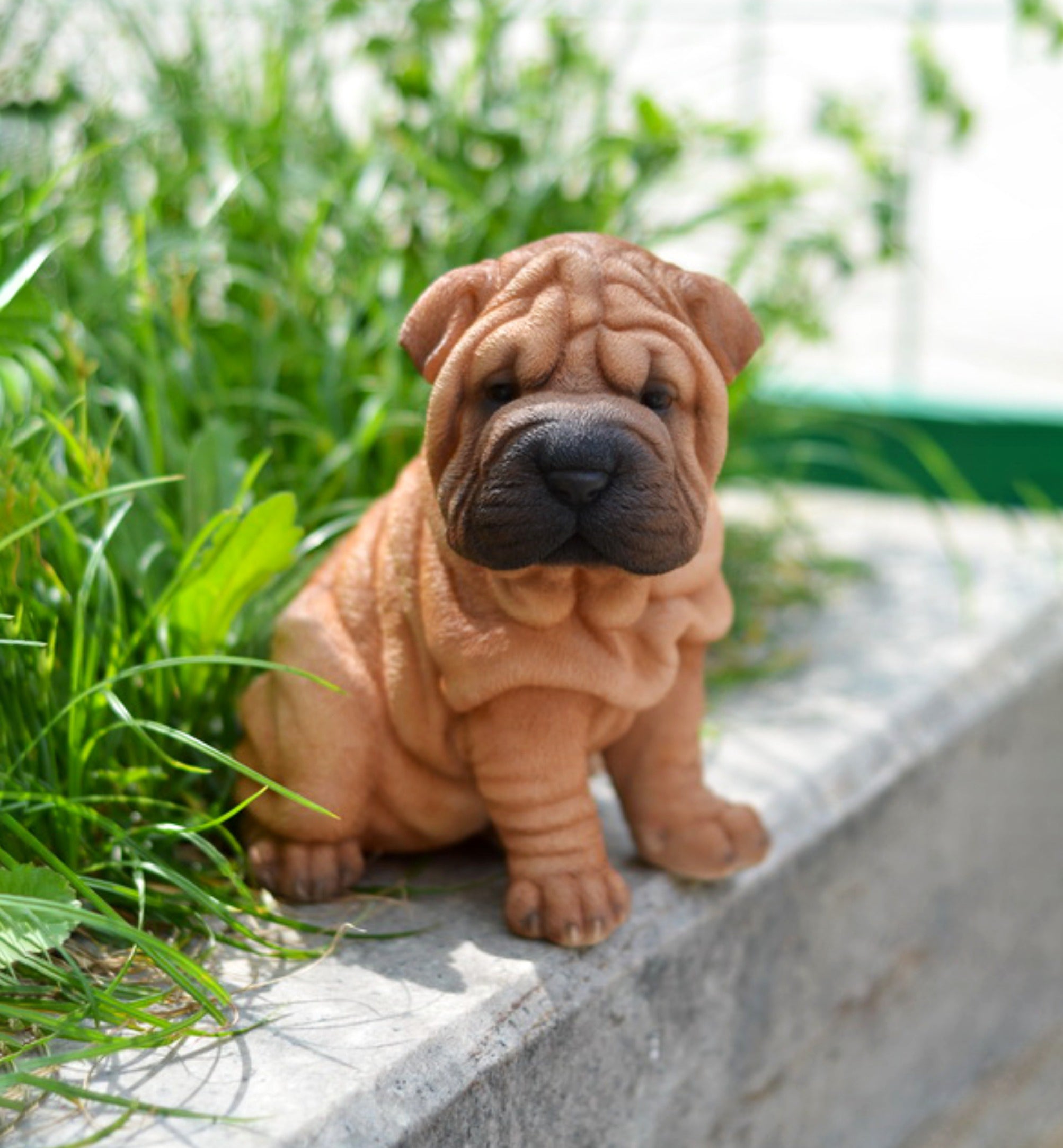 Shar pei dog garden statue Pet sculpture Home and garden decor Dog memorial pet outlet statue Sculpture