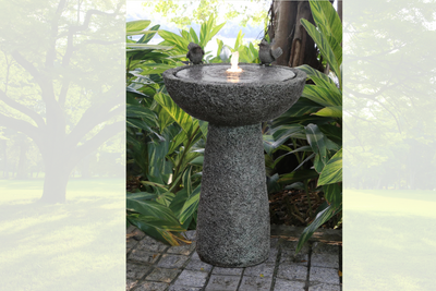 Birdbath Placement: Where to Put a Bird Bath for Maximum Attraction