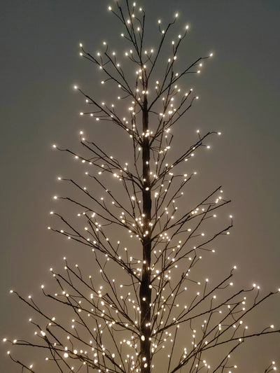 37523-BK-L - 70in Black Birch Tree with 1099 LED Lights Indoor Use Only Hi-Line Gift Ltd.