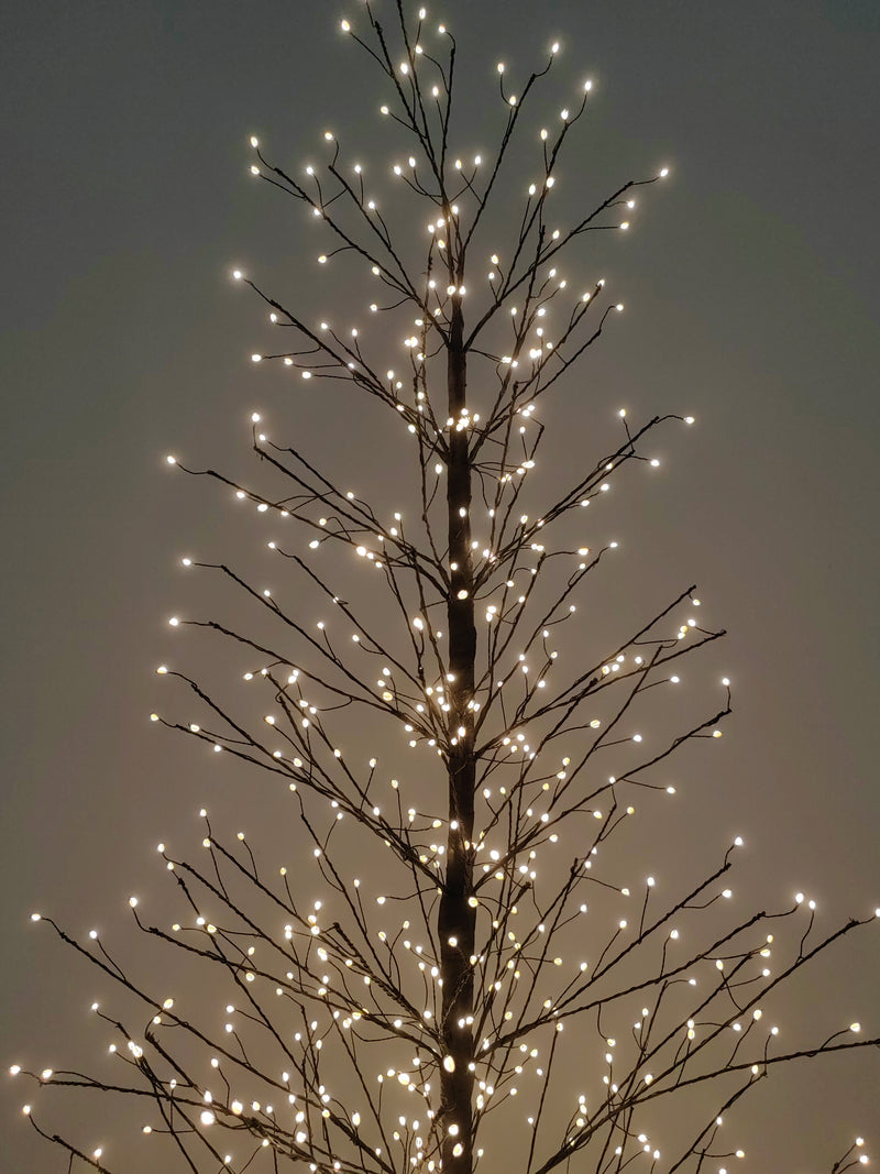 37523-BK-L - 70in Black Birch Tree with 1099 LED Lights Indoor Use Only Hi-Line Gift Ltd.