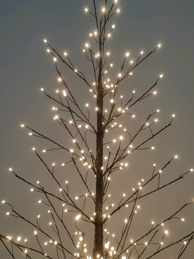 37523-BK-S - 47in Black Birch Tree with 349 LED Lights Indoor Use Only Hi-Line Gift Ltd.