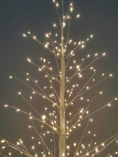 37523-WT-S - 47in White Birch Tree with 349 LED Lights Indoor Use Only Hi-Line Gift Ltd.