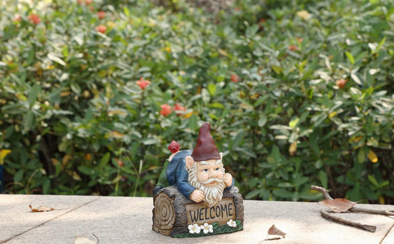 Hi-Line Exclusive - Welcome Sign Gnome Crawling Overy Trunk HI-LINE GIFT LTD.