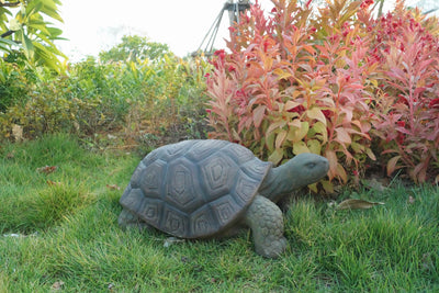 Turtle Statue - 21 Inch Long HI-LINE GIFT LTD.