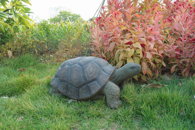 Turtle Statue - 21 Inch Long HI-LINE GIFT LTD.