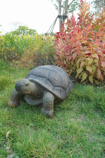 Turtle Statue - 21 Inch Long HI-LINE GIFT LTD.