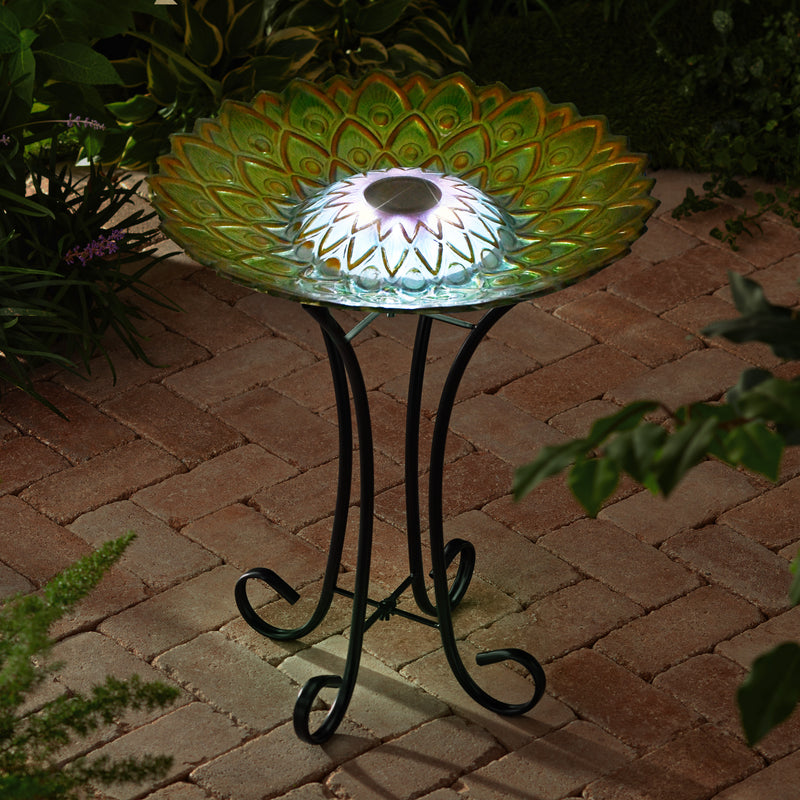 Solar Glass Bird Bath With Stand HI-LINE GIFT LTD.