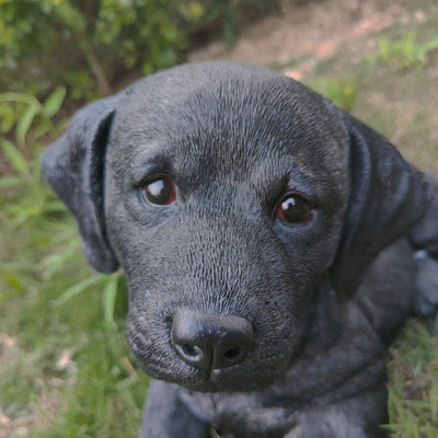 87632-BK - Midnight Reverie: Sleek Black Polyresin Lying Labrador Figurine Hi-Line Gift Ltd.