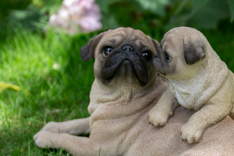 Mother & Baby Pugs HI-LINE GIFT LTD.