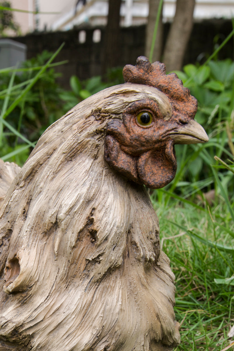 Hen Squatting- Driftwood Look Statue HI-LINE GIFT LTD.