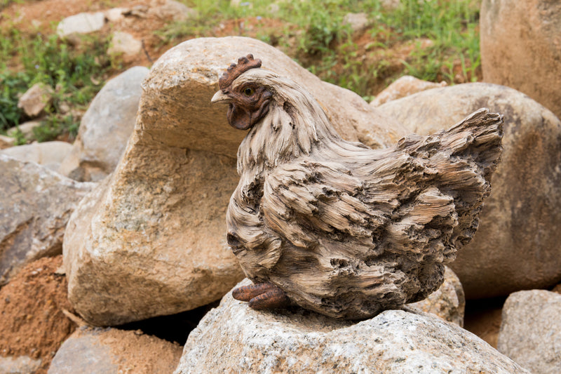 Hen Squatting- Driftwood Look Statue HI-LINE GIFT LTD.