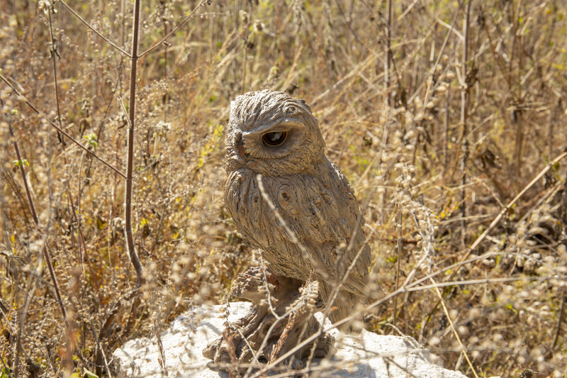 Trumpet Owl -Driftwood Look- HI-LINE GIFT LTD.