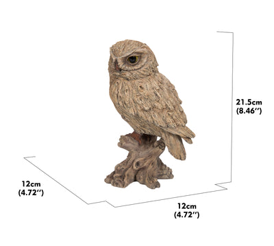 Trumpet Owl -Driftwood Look- HI-LINE GIFT LTD.