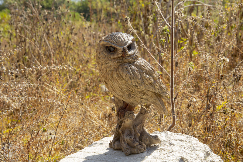 Trumpet Owl -Driftwood Look- HI-LINE GIFT LTD.