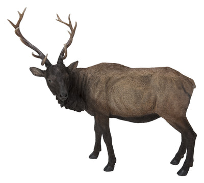 North American Elk Statue HI-LINE GIFT LTD.