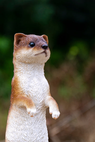 Hi-Line Exclusive - Standing Weasel Statue HI-LINE GIFT LTD.