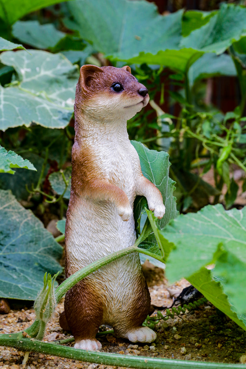 Hi-Line Exclusive - Standing Weasel Statue HI-LINE GIFT LTD.