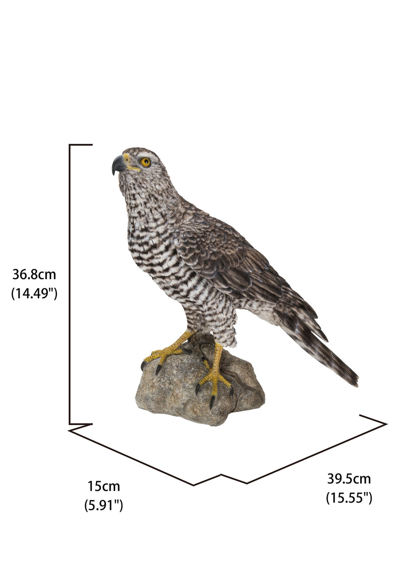 Northern Goshawk Standing On Rock Statue Hi-Line Gift Ltd.