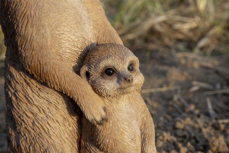 Meerkat - Mother and Baby Statue HI-LINE GIFT LTD.