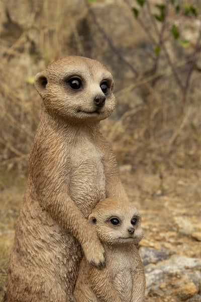 Meerkat - Mother and Baby Statue HI-LINE GIFT LTD.