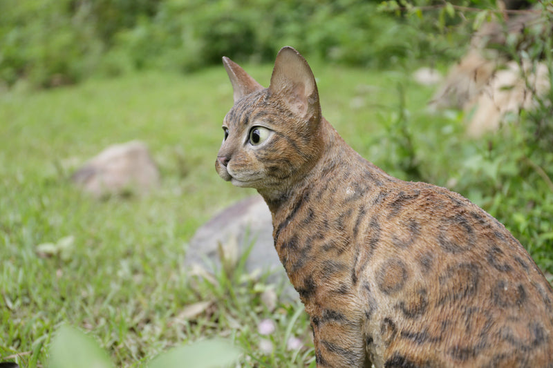 Sitting Bengal Cat Statue HI-LINE GIFT LTD.