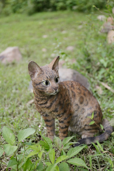 Sitting Bengal Cat Statue HI-LINE GIFT LTD.