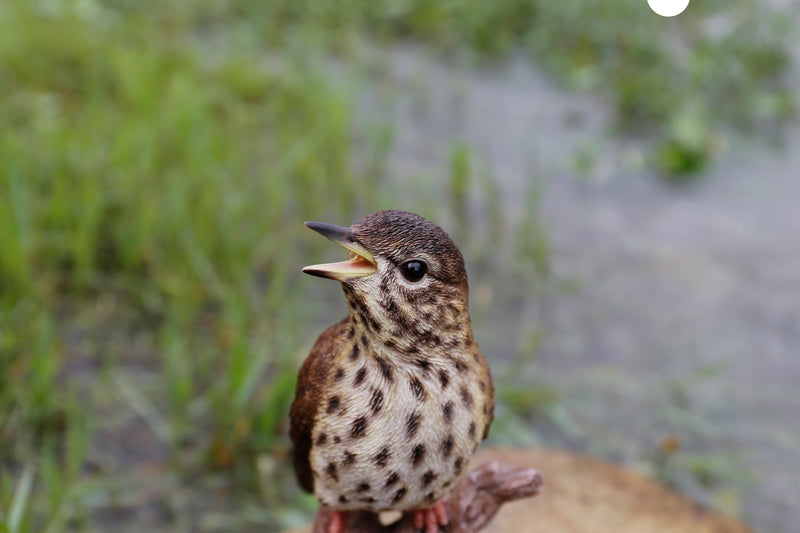 Motion Activated Singing Songbird Standing on Stump Statue HI-LINE GIFT LTD.