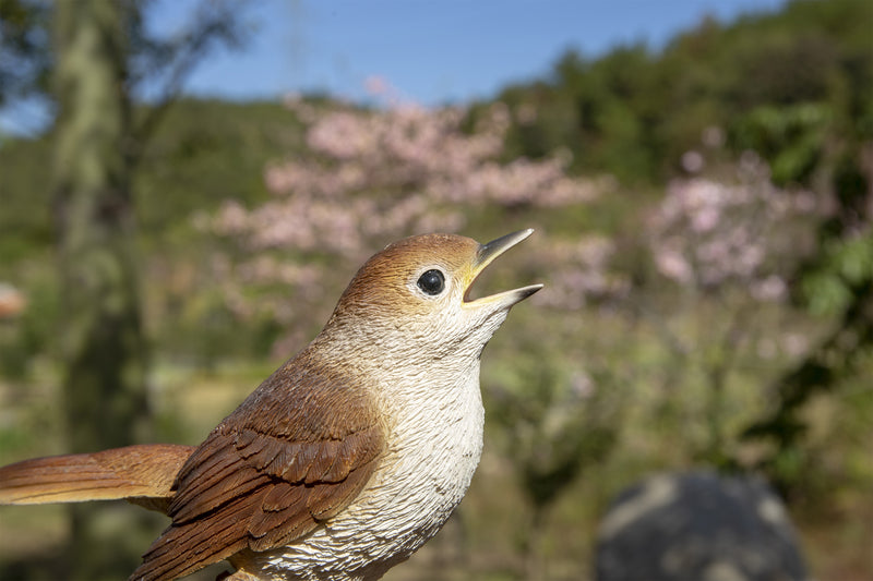 Singing Nightingale Standing Stump- Statue HI-LINE GIFT LTD.