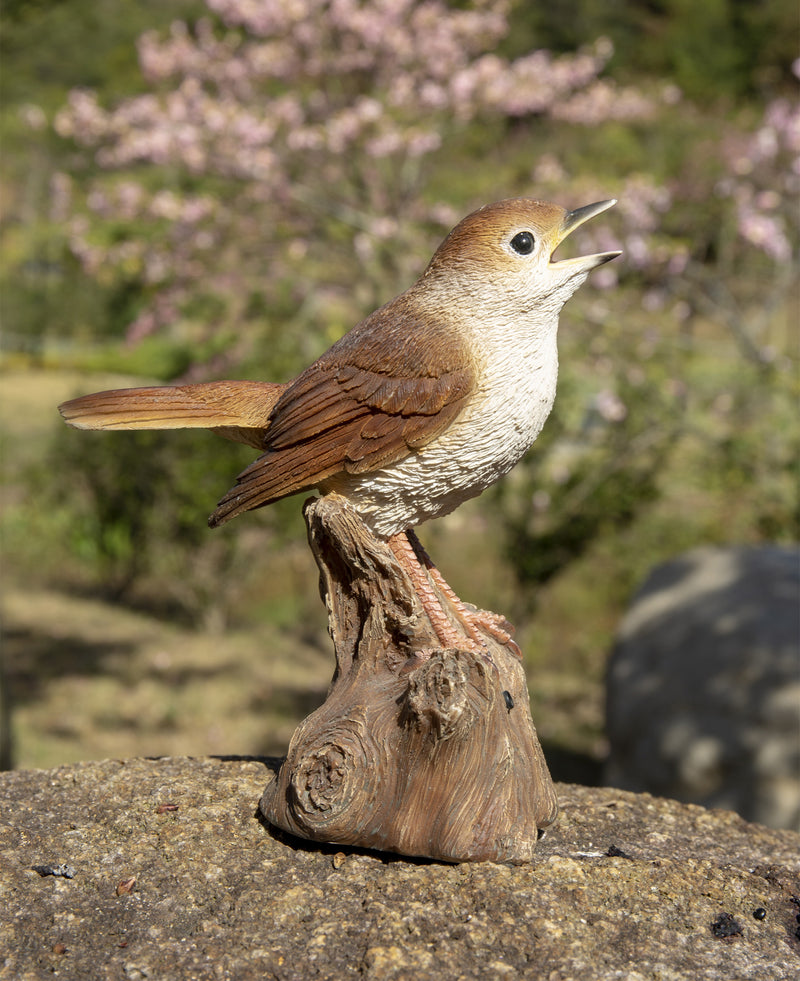 Singing Nightingale Standing Stump- Statue HI-LINE GIFT LTD.