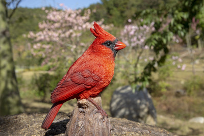 Motion Activated Singing Cardinal Standing on Stump Statue HI-LINE GIFT LTD.