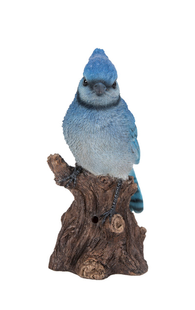 Motion Activated Singing Blue Jay Statue HI-LINE GIFT LTD.