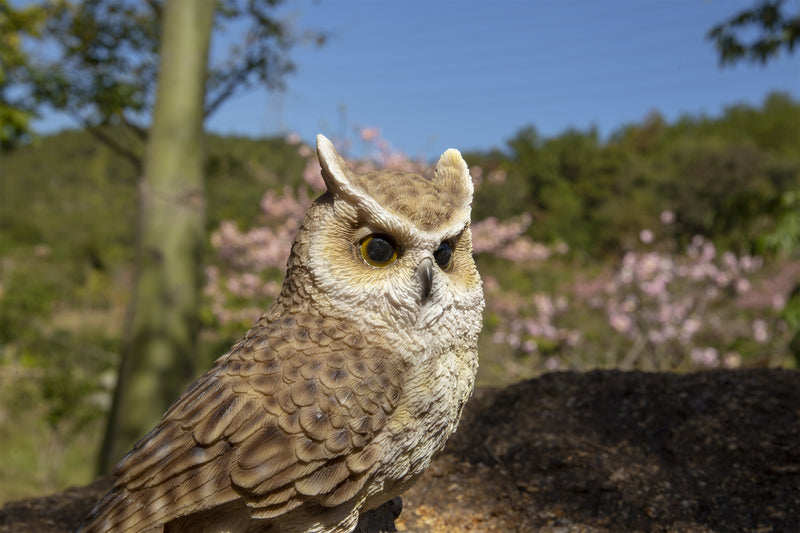 Singing Long Eared Owl Standing Stump - Garden Statue HI-LINE GIFT LTD.