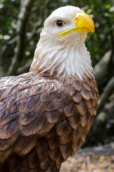 Motion Activated Singing Eagle Statue HI-LINE GIFT LTD.