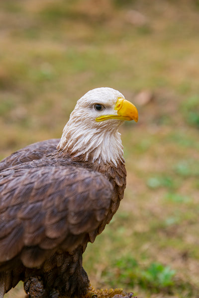 Motion Activated Singing Eagle Statue HI-LINE GIFT LTD.