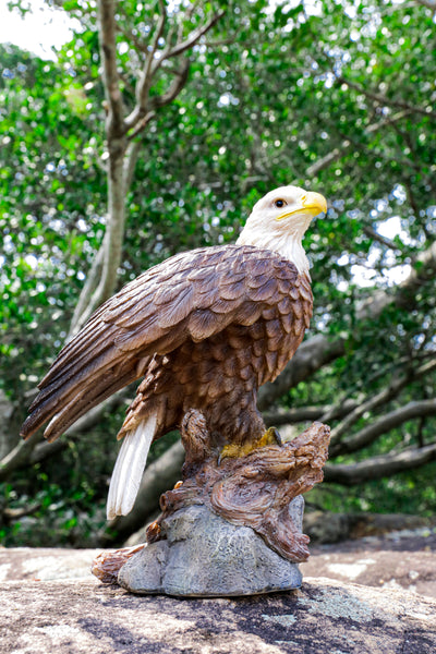 Motion Activated Singing Eagle Statue HI-LINE GIFT LTD.