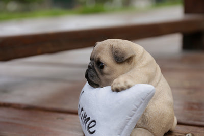 Pug Puppy with Welcome Sign Statue HI-LINE GIFT LTD.