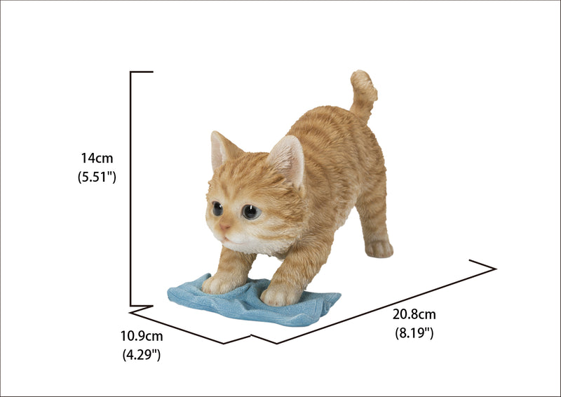 Kitten Mopping The Floor HI-LINE GIFT LTD.