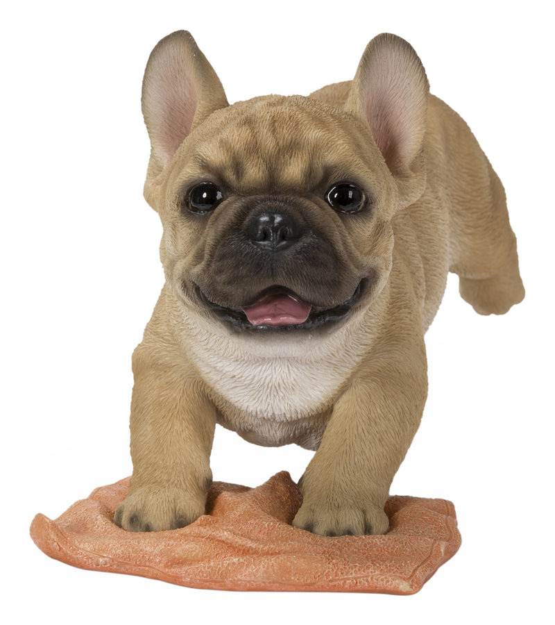 French Bulldog Mopping The Floor HI-LINE GIFT LTD.