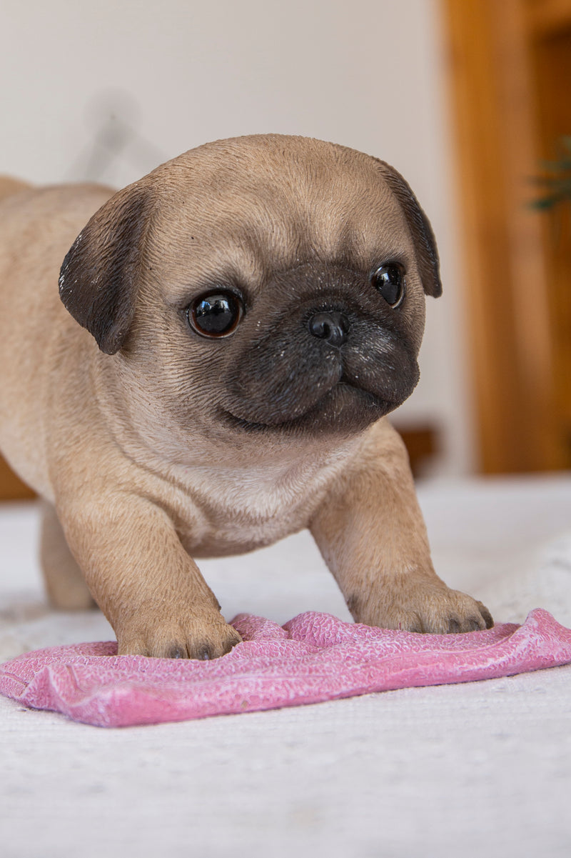 Pug Mopping The Floor HI-LINE GIFT LTD.