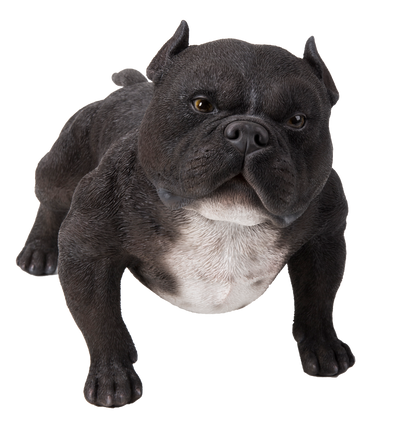 Walking Black Bully Dog Statue Hi-Line Gift Ltd.