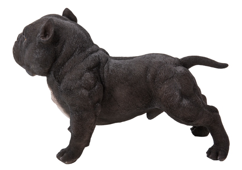 Walking Black Bully Dog Statue Hi-Line Gift Ltd.