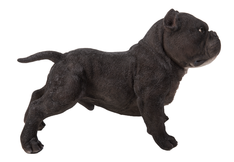 Walking Black Bully Dog Statue Hi-Line Gift Ltd.