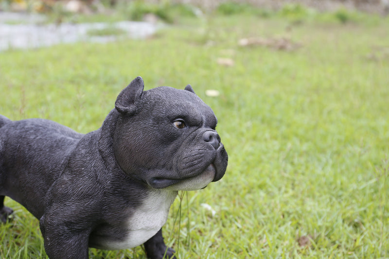 Walking Black Bully Dog Statue Hi-Line Gift Ltd.