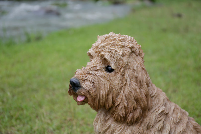 Large Sitting CreamColoured Cockapoo Hi-Line Gift Ltd.