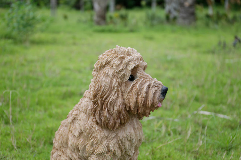 Large Sitting CreamColoured Cockapoo Hi-Line Gift Ltd.