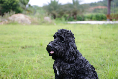 Large Sitting Black Colored Cockapoo Hi-Line Gift Ltd.