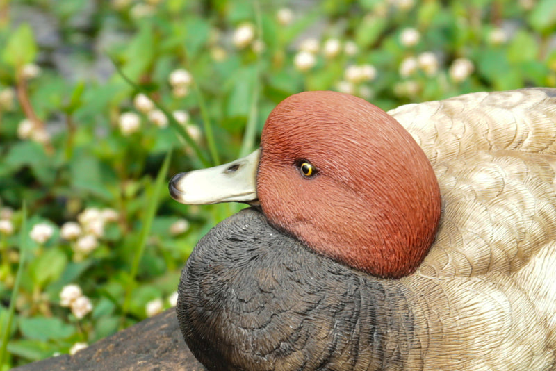 Mallard with Red Head Mallard Statue HI-LINE GIFT LTD.