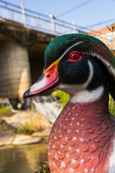 Colorful Sitting Wood Duck Garden Statue HI-LINE GIFT LTD.