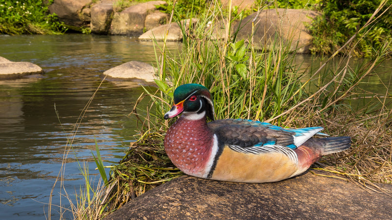 Colorful Sitting Wood Duck Garden Statue HI-LINE GIFT LTD.